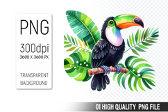 Summer Cute Toucan Clipart | Sublimation Clipart PNG File Product Image 1