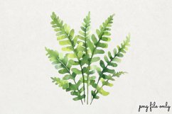 Jungle Book Watercolor Clipart PNG Product Image 1