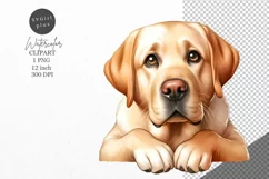 Labrador clipart, Dog clipart, Animals clipart Product Image 1