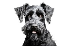 Kerry Blue Terrier Dog Clipart | Watercolor Dog Clipart PNG Product Image 1