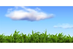 Realistic nature landscape with fresh grass and blue sky wit Product Image 1