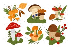 Mushrooms compositions. Forest fungi with plants. Berries an Product Image 1