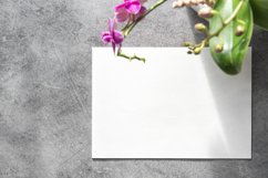Floral template blank paper mockup orchid flower stock photo Product Image 1