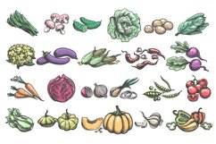 Color handdrawn vegetables Product Image 1