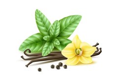 Realistic spices simple composition. Vanilla flower and pods Product Image 1