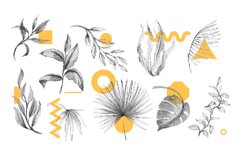 Abstract summer elements, modern shapes. Minimal spring trop Product Image 1