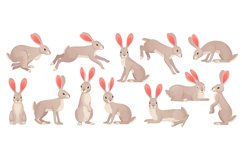 Jackrabbits. Wild hare fluffy brown rabbit with long ears, Product Image 1
