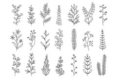 Doodle plants. Linear decorative forest branches with leaves Product Image 1