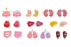 Healthy unhealthy organs. Whole and damaged human internal Product Image 1