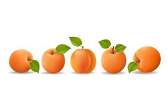 Isolated apricots with shadow Product Image 1