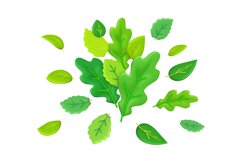 3d nature elements, summer oak leaves. Spring green plants c Product Image 1