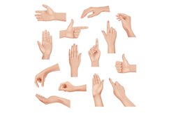 Hands gestures. Realistic detailed anatomic people body part Product Image 1