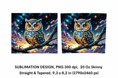 Cute Owl at Night - Skinny Tumbler Wrap Sublimation Design Product Image 2