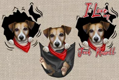 Jeck Russell png pocket jack russell 3 png Product Image 1