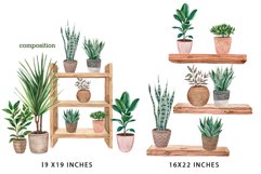 Watercolor Potted Plants Clipart, Greenery Home Decor, PNG Product Image 3