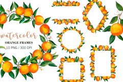 Watercolor Orange BUNDLE, PNG, patterns, clipart, wreath Product Image 2