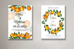 Watercolor Orange BUNDLE, PNG, patterns, clipart, wreath Product Image 5