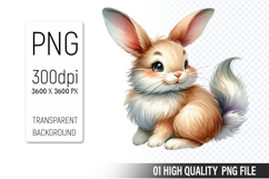 Cute Bunny, Animal Sublimation Clipart PNG Product Image 1