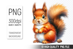 Cute Squirrel, Animal Sublimation Clipart PNG Product Image 1