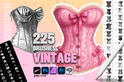 Procreate Vintage Baroque Clothes stamp brushes Product Image 1