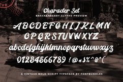 Web Font Brackenberry Typeface Product Image 4