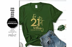 21 Birthday Gift SVG, Birthday Shirt SVG, Birthday Gift SVG Product Image 2