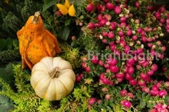 Pumpking &amp; snowberries -2 Product Image 1