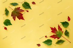 Autumn leaves flat lay. Frame from red green leaves Product Image 1