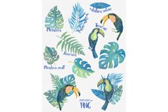 Watercolour Amazon Clipart Product Image 6
