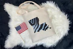 Political divisions of the US. Denim and leather zebra print Product Image 4