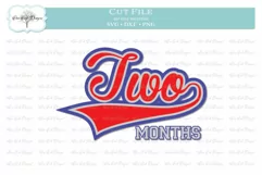 Baseball Baby Birthday Month 2 - SVG DXF PNG Product Image 1