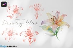 Procreate, drawing lilies, 8 lily designs Product Image 1
