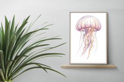 Floating Jellyfish Pink Ocean Tentacles Aquatic PNG Summer Product Image 2