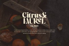 Pure Motif - An Elevated Serif Font Product Image 23