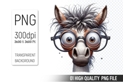 Funny Horse Clipart PNG, Sublimation Horse Design Product Image 1