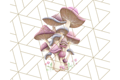 Mushroom Clipart, Realistic Forest Mushrooms PNG Product Image 3
