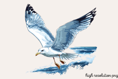 Watercolor Coastal Clipart PNG Product Image 1