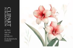 Watercolor amarylis flower sublimation clipart Product Image 1