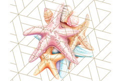 Natural Seashell Clipart PNG, Summer Nautical Beach Shell Product Image 3