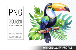 Summer Clipart PNG Bundle, Beach Clipart Design Product Image 13