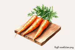 Carrot Watercolor Clipart PNG Product Image 1
