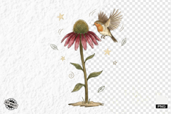 1920 Botanical Summer Wildflowers Clipart Product Image 1