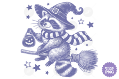 Vintage Funny Sarcastic Feral Witch Raccoon Halloween PNG Product Image 1