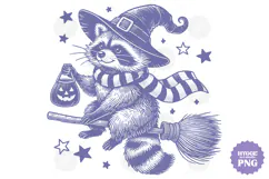 Vintage Funny Sarcastic Feral Witch Raccoon Halloween PNG Product Image 1