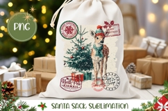 Christmas Deer Santa Sack Template, Winter Gift Bag PNG Product Image 1