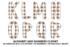Cottage Floral Alphabet PNG Letters &amp; Numbers 300DPI Product Image 3