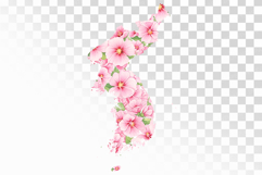 Mugunghwa Blossoming Korean Peninsula Map PNG Independence Product Image 1