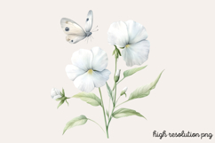 Sweet Pea Flower Watercolor Clipart PNG Product Image 1