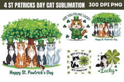 St Patricks Day Cat Sublimation Bundle PNG Product Image 3