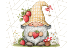 Summer Garden Gnomes Clipart PNG, Summer Country Gnomes Png Product Image 3